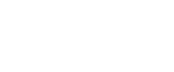 Wit logo Zwaenepoelconstruct